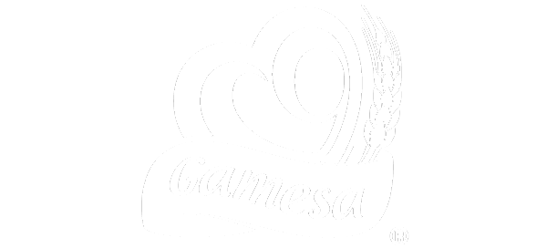 Gamesa-Pimmsa-2